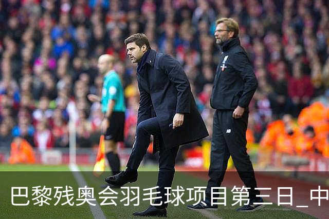 巴黎残奥会羽毛球项目第三日 中国队取得13胜3负
