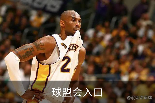 球盟会入口公司介绍图片